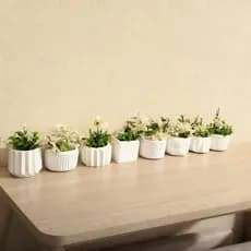 Kit 2 até 8 Vasinhos Decorativo em Gesso para Suculentas e Cactos - ENVIO FULL