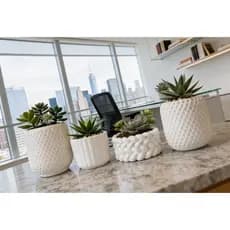 Kit até 7 Vasinhos Decorativo em Gesso para Suculentas e Cactos - ENVIO FULL