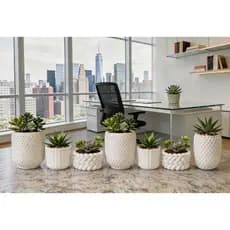 7 Vasinhos Decorativo em Gesso para Suculentas e Cactos - ENVIO FULL