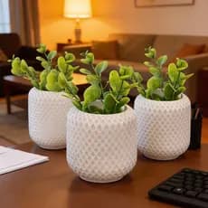 Kit 3 Vaso de Plantas Suculentas Vaso Decorativo em Gesso para e Cactos Decoração Sala Pequena Mesas