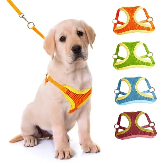 Coleira Peitoral Cachorro E Gato Ajustável Com Guia Colete Pet - Coleira pra gato - Coleira Pet