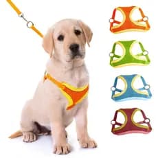 Coleira Peitoral Cachorro E Gato Ajustável Com Guia Colete Pet - Coleira pra gato - Coleira Pet