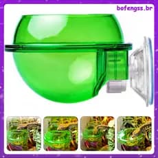 🍽️ 4Peças Bacia Para Répteis Com Ventosa Verde ABS