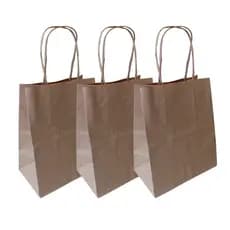 Kit 10 Sacola de Papel Kraft Natural Delivery Para Presente Tamanho P (17,5x8,5x21,5cm)