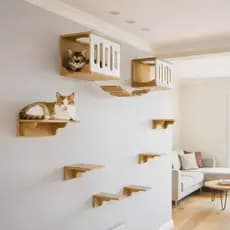 Playground Gato 9pçs Onda Sonora c/ Carpete Antiderrapante Enviado Montado REFORÇADO MDF 15mm