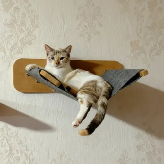 Caminha para Gatos Suspensa MDF 15MM PREMIUM REFORÇADO Rede Gatos Caminha para Gato Suspensa