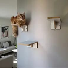 Playground Gato Reforçado com 3 Degraus em MDF 15mm LAMINADO Com Carpete Montado Parque Para Gatos
