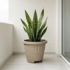Kit 6 Vasos Redondo G 9L Preto Terracota Café Areia Para Plantas Jardim Decorativo Resistente Multiuso Casa Exterior