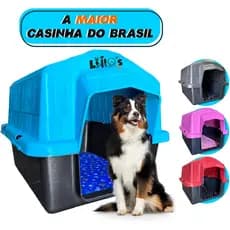 Casinha Cachorro Grande Casa Plástica Nº6 Com Colchonete
