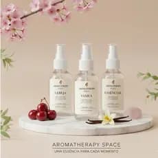 Odorizante de Ambientes - Cheirinho para ambientes  100ml – (Perfume Embalagem) Aromatizador