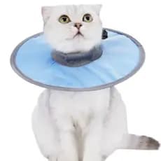 Coleira Colar Elizabetano Impermeável Ajustável Gato Cachorro