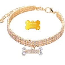 Coleira Gato Cachorro Placa Nome Tel Laser Strass Dourada