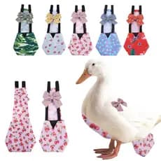 Fraldas De Galinha , Patos E Gêmeos Goose Cole Roupas De Pato Suprimentos De Limpeza De Confortáveis