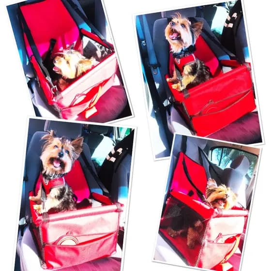 Assento Cadeirinha para Pet Cães e Gatos Carro Veicular