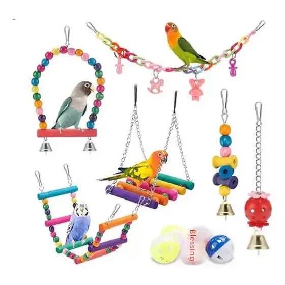 Conjunto de Brinquedos Coloridos para Papagaio, 11 Peças