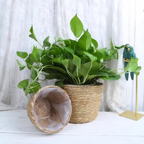 Imitação de vime cesta de flores vaso de flores vaso de flores decoração criativa para casa