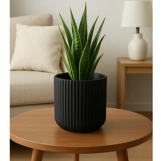 Vaso Decorativo Cachepo19cm em Cerâmica – Moderno para Sala e Escritório