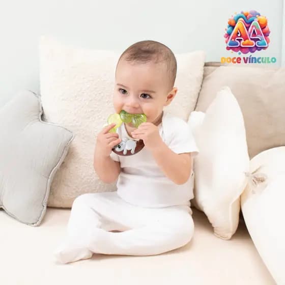 Mordedor Para Bebê de Água Coala Brinquedos para Bebê - Buba