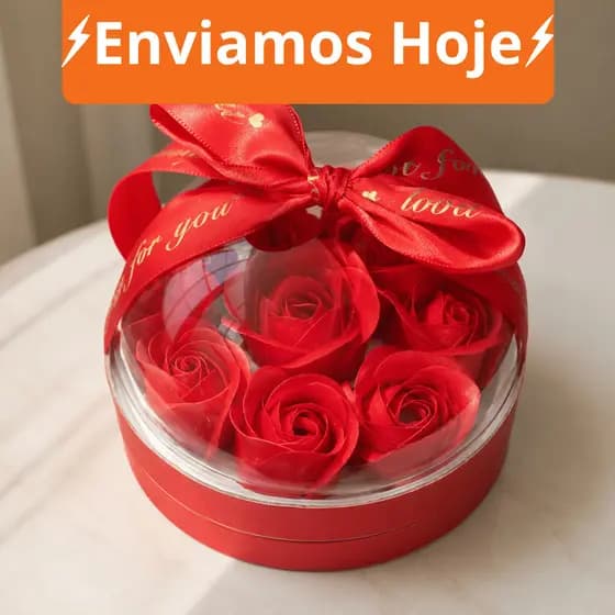 Presente Dia dos Namorados Caixa Rosa Vermelha Com Cúpula Transparente Laço Romântico Para Aliança Casal Amor Luxo