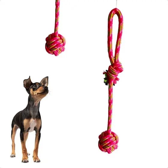 Brinquedo Bola Corda Para Cachorro Pet mordedores Puxador
