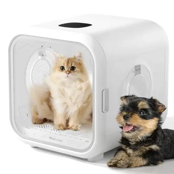 Caixa De Secagem Automática Ultra Silenciosa Para Cães/gatos Branco 127v