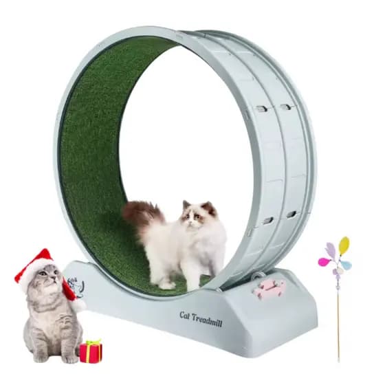 Roda Para Gato Academia Pet Esteira De Exercício Indoor Apartamento Silenciosa Queima Energia Com Varinha de brinde