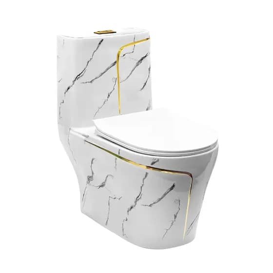 Vaso Sanitário Monobloco Caixa Acoplada Completo Privada C53 Cor Miami White Mar Wg-tb
