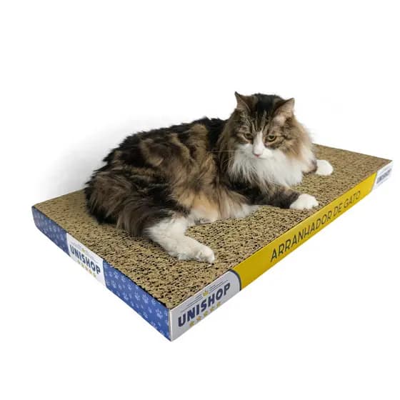 Arranhador De Papelão Para Gatos Evita Arranhar Sofá Cortina