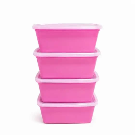 Kit 4 Potes Plásticos Retangulares 1000ml com Tampa | Organizador de Alimentos | Freezer e Geladeira