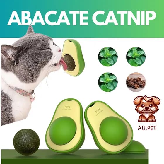 Abacate De Brinquedo Para Gatos Com Catnip Erva Gato Natural