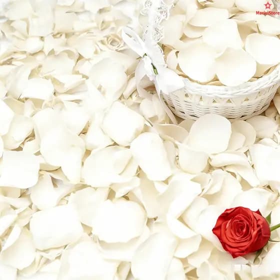 Flores Artificiais Pétala Bazar Das Decoração Para Casa Brancos Artificiais 1000 Peças São Cheias De Sentimento Ritual