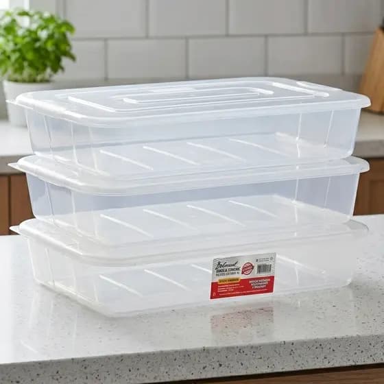 Kit 3 Bandeja 10 litros com Tampa Transparente para Freezer e organização