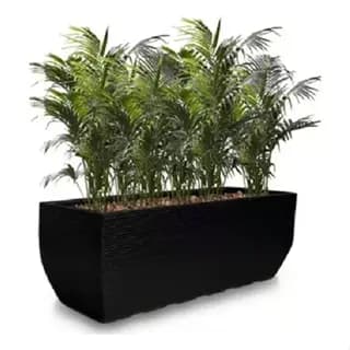 Vaso De Planta Jardineira Bonsai Suculenta Polietileno M