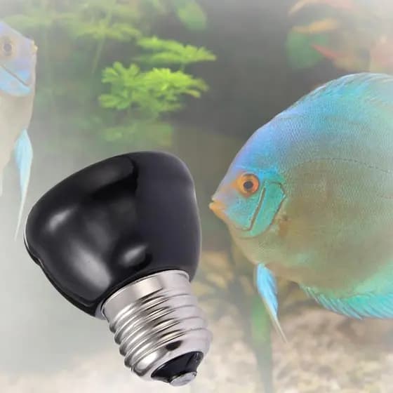 Lâmpada Aquecedora Para Animais De Estimação Material Cerâmico Mantendo Quente Preto 25/50/75/100W De Aquecime