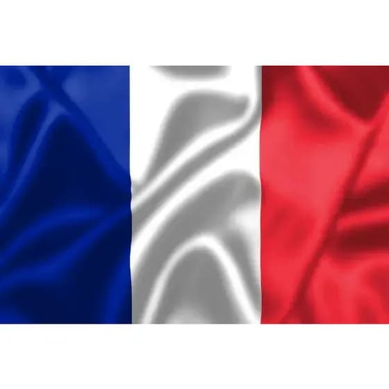 Bandeira Da França Grande Cetim com Acabamento 150x1,00