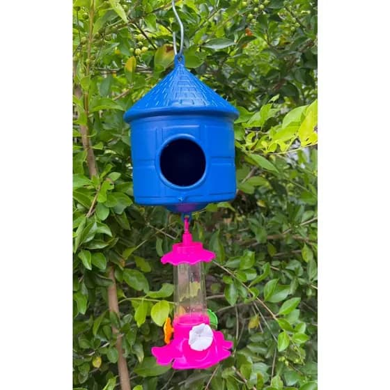 Casinha Para Beija Flor Com Bebedouro Casa De Passarinho Pássaros
