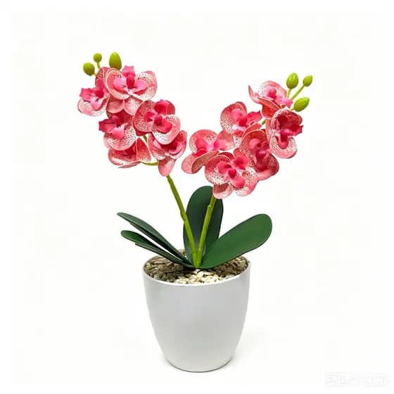 fior orquídea artificiais com vaso 24cm