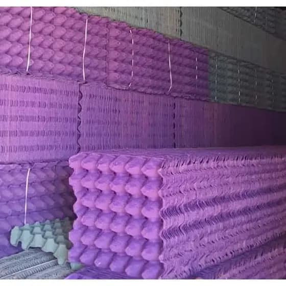 kit bandeja para 30 ovos / kit bandejas para 30 ovos / Cartela para 30 ovos / Cartelas para 30 ovos / Forma para 30 Ovos de galinha / Embalagem Papelao 30 ovos/ COR VERDE / COR ROXO Envio imediato kit com 10, 20, 30, 40 unidades
