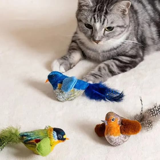 Brinquedo De Gato Simulação Realista Pássaro De Pelúcia Para Gatos E Cães Toque Fonação Física