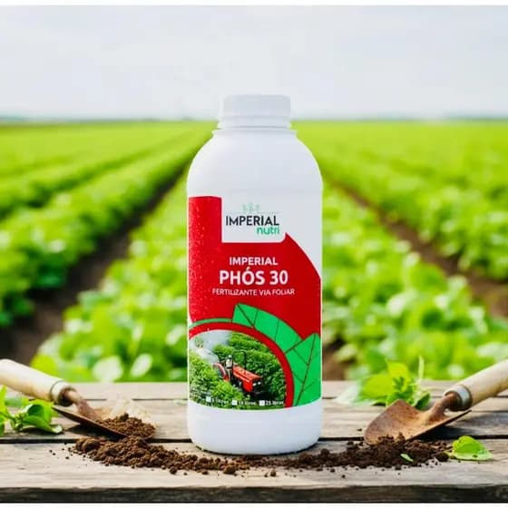 Fertilizante Fósforo Liquido P30 1 Litro.