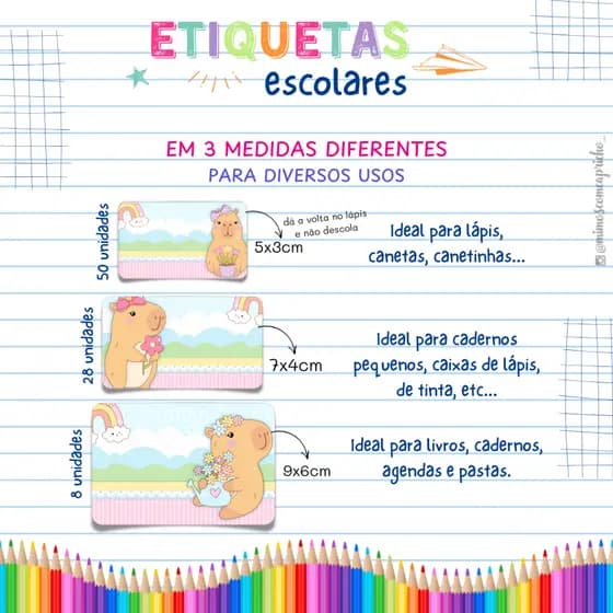 Etiqueta Escolar AVULSAS - Vários Temas | Material escolar | Volta às aulas | Adesivo Escolar