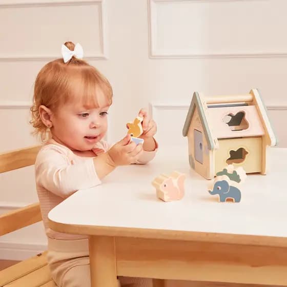 Brinquedo De Madeira Colorido Para Bebê Encaixar Formas Divertido Educativo Montessori Cloudy Buba