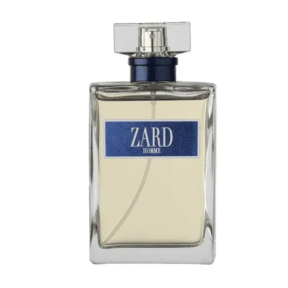 Perfume Masculino ZARD HOMME Primacial