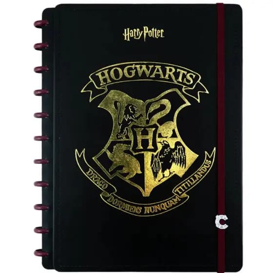 Caderno Inteligente Grande 20x27cm 80 Folhas Harry Potter Jandaia - 1 Unidade