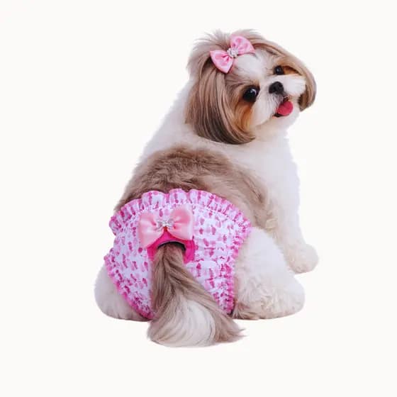 Calcinha pet com porta absolvente unidade.