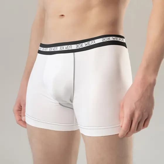 Cueca Boxer Masculina Kit 12 Peças Microfibra Cueca Box Sem Costura Adulto Envio Imediato