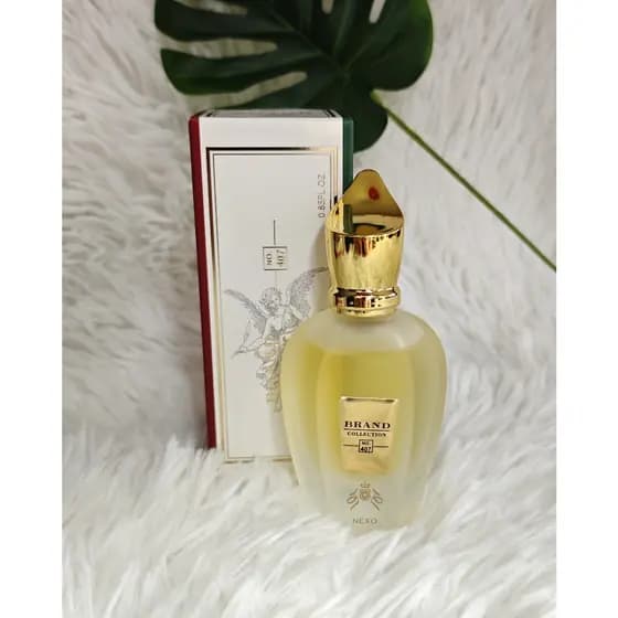 Perfume Feminino N. 407 BRAND COLLECTION MINIATURA - 25ml