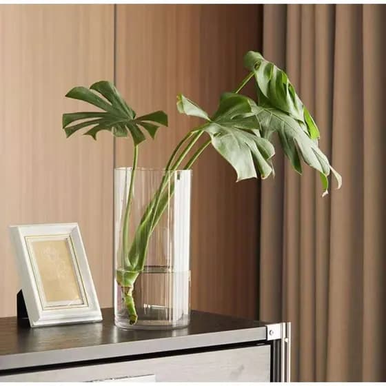 Kit Vasos Acrílico Arranjos de Flores Plantas Para Decoração Sala Casa 25cm
