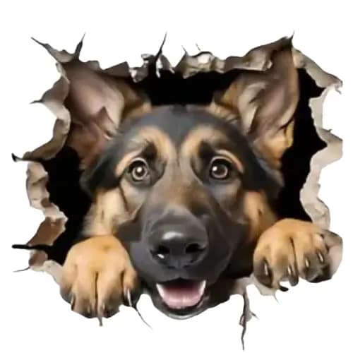 Adesivos 3D Cachorros Gatos I em vinil 30x30 cm parede quarto sala de estar, varanda, casa
