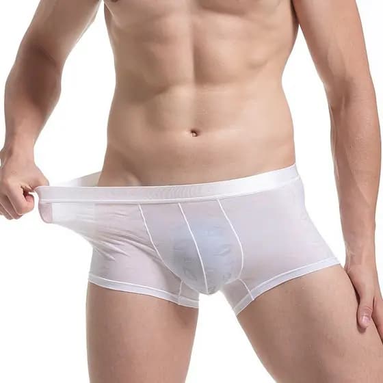 Novo produto pronto estoque masculino transparente renda roupa interior Boxer sentir Ultra-fino de secagem rápida moda g